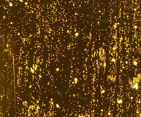 Bild 1: Aufnahme der Beschichtung der Quarzmikrowaage, Partikel sind als kleine und große, golden leuchtende Punkte zu sehen.